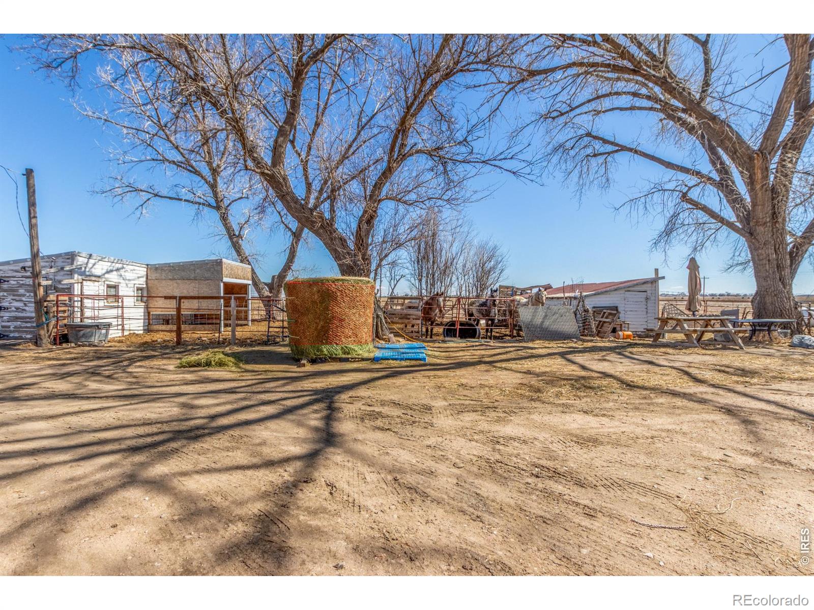 16524 County Road 3 Wiggins CO 80654
