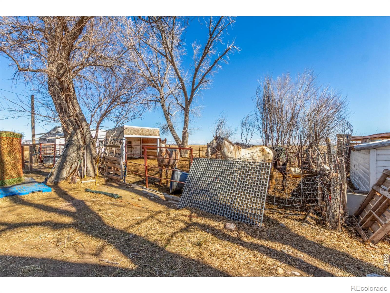 16524 County Road 3 Wiggins CO 80654