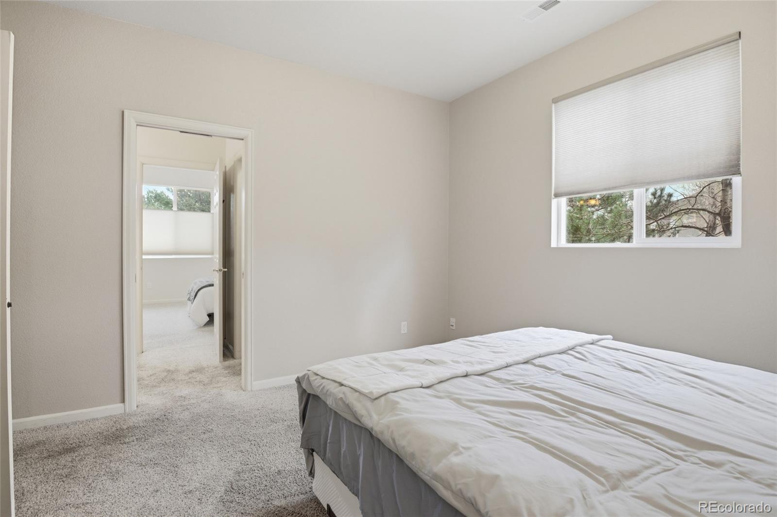 1615 Capadaro Court Monument CO 80132
