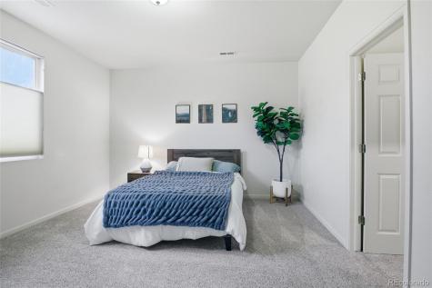 1615 Capadaro Court Monument CO 80132
