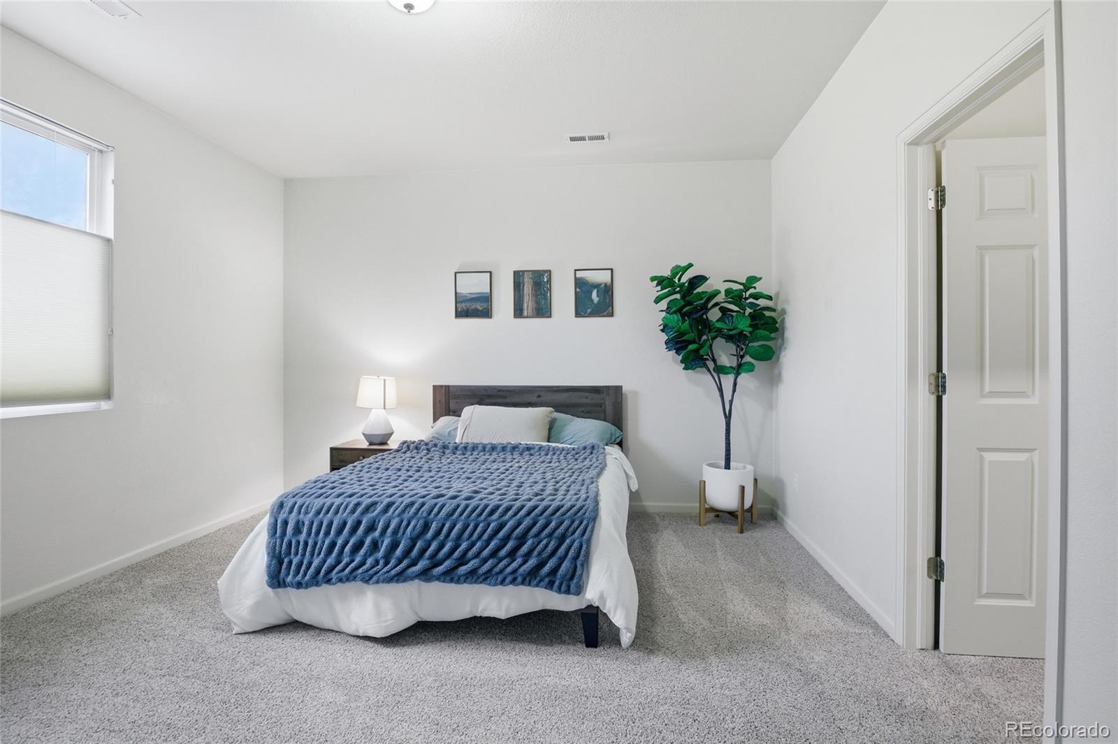 1615 Capadaro Court Monument CO 80132