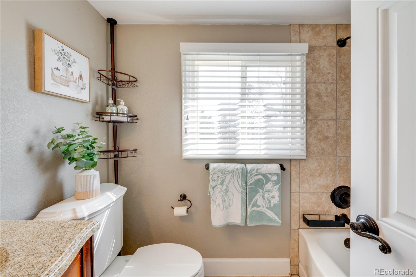 830 Noble Court Golden CO 80401