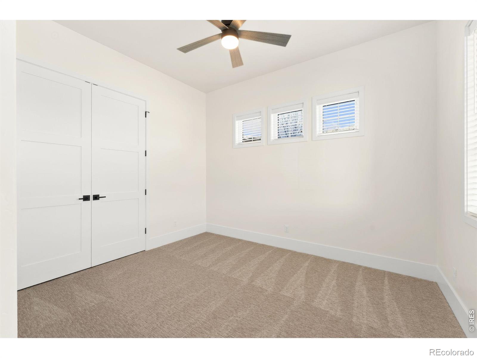 6309 Foundry Court Timnath CO 80547