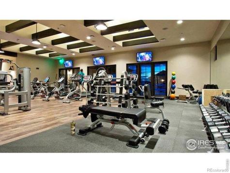 6309 Foundry Court Timnath CO 80547