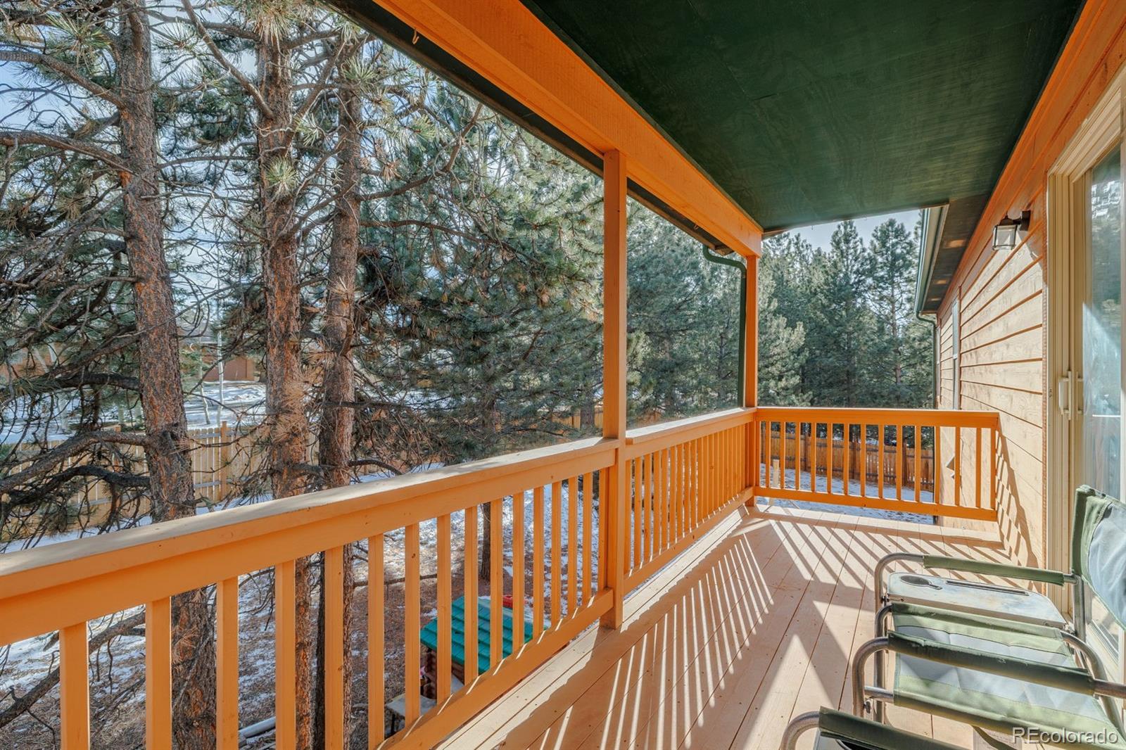 21 Shadowood Place Woodland Park CO 80863