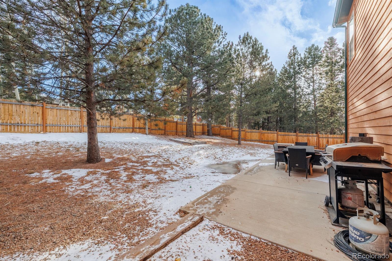21 Shadowood Place Woodland Park CO 80863