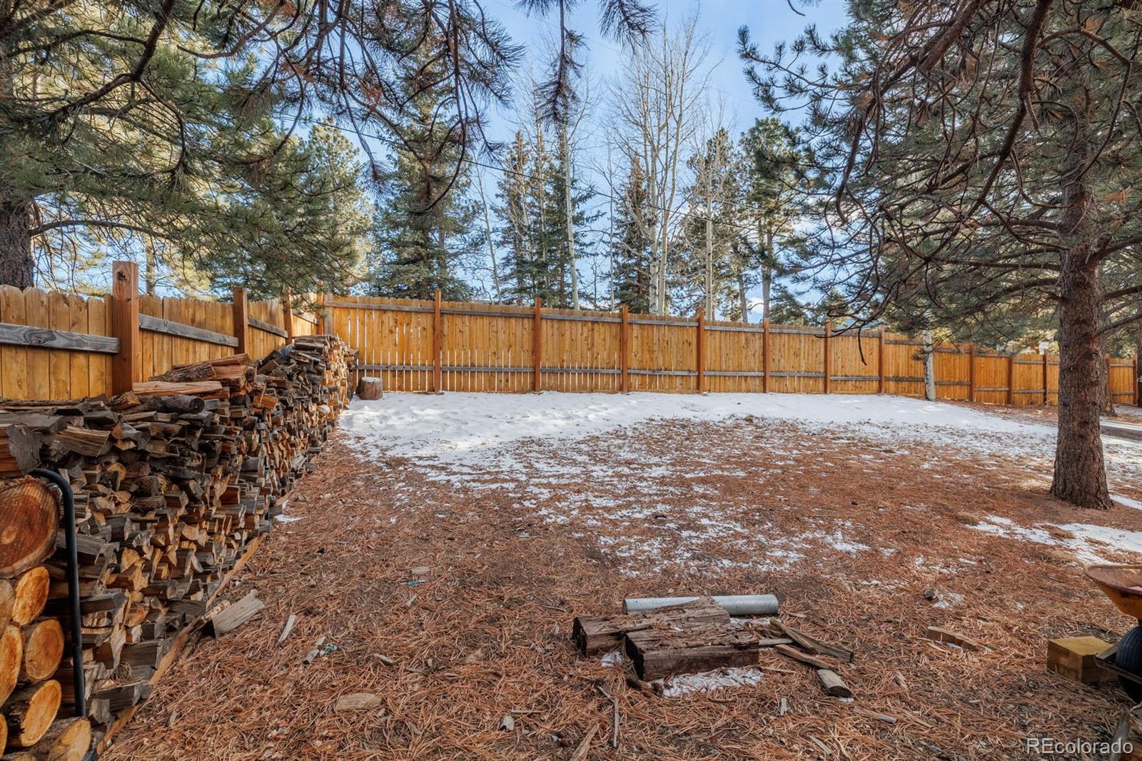 21 Shadowood Place Woodland Park CO 80863