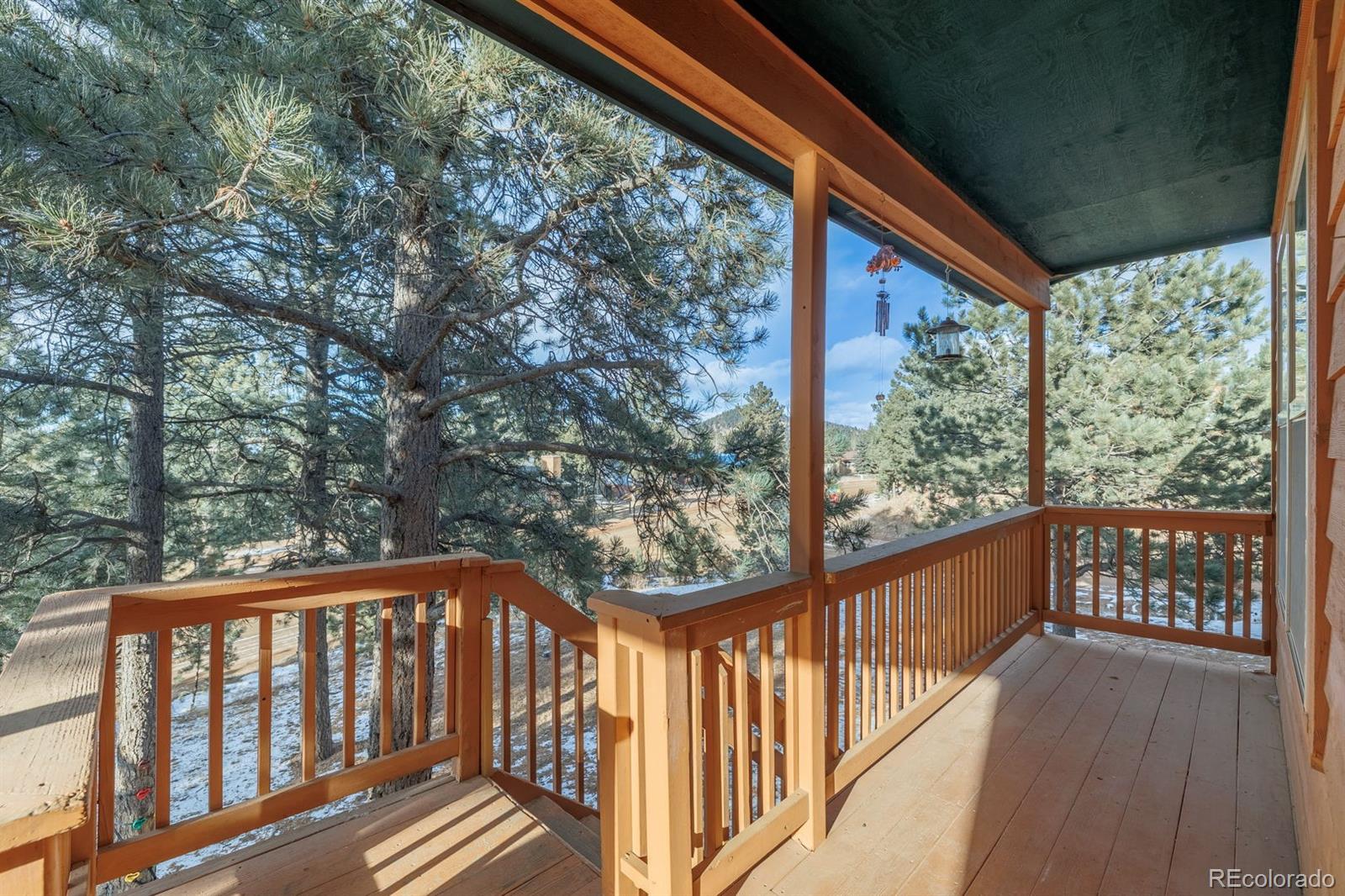 21 Shadowood Place Woodland Park CO 80863