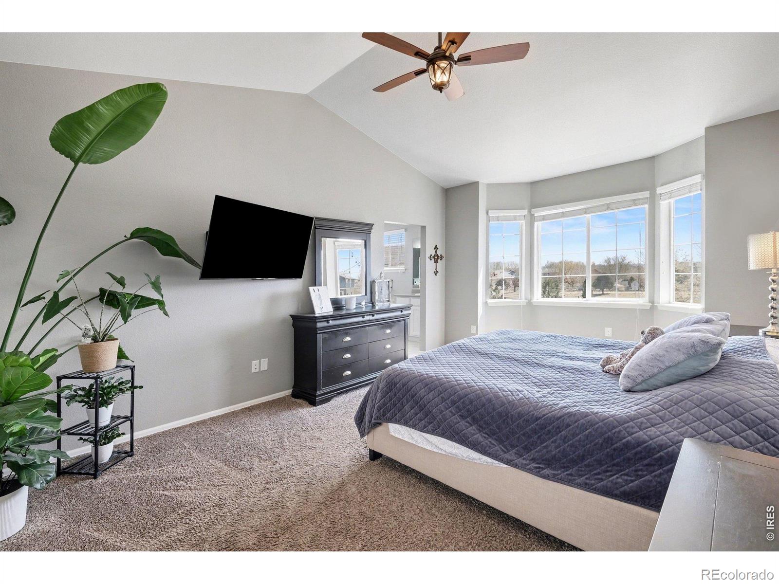 10038 Buttesfield Street Firestone CO 80504