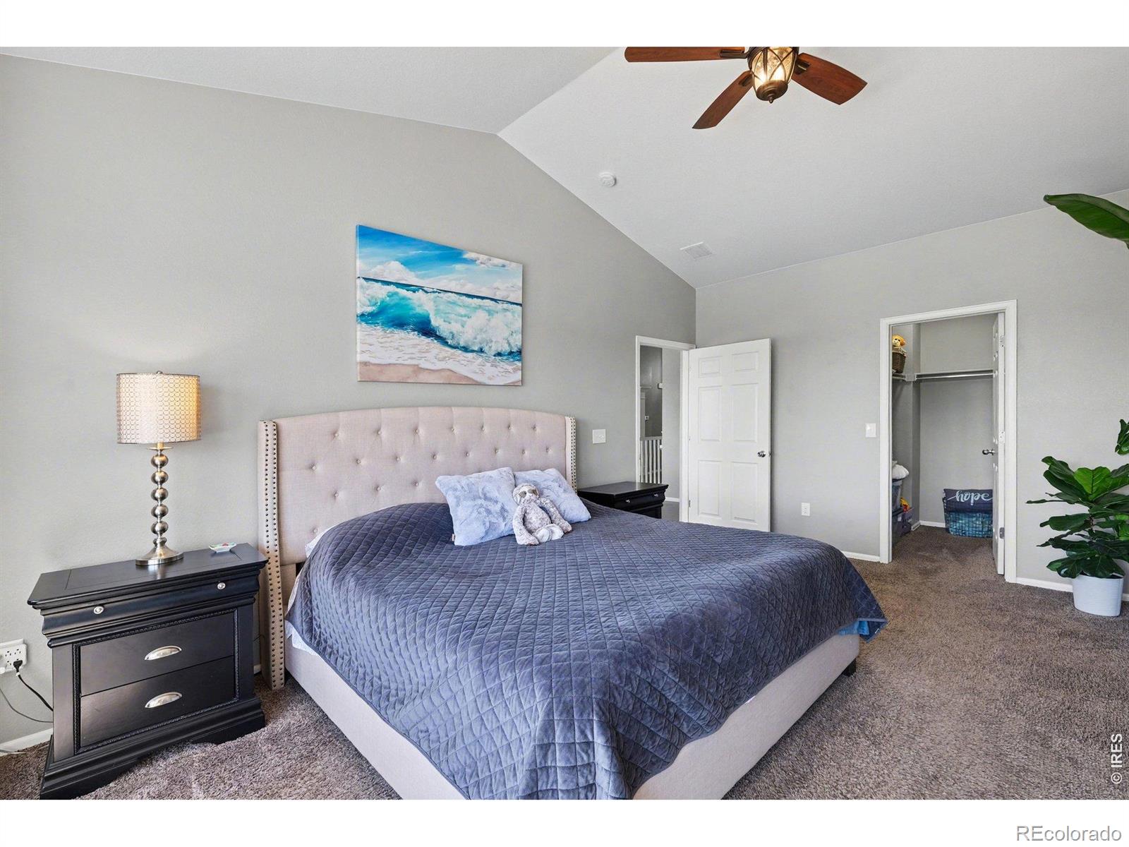 10038 Buttesfield Street Firestone CO 80504