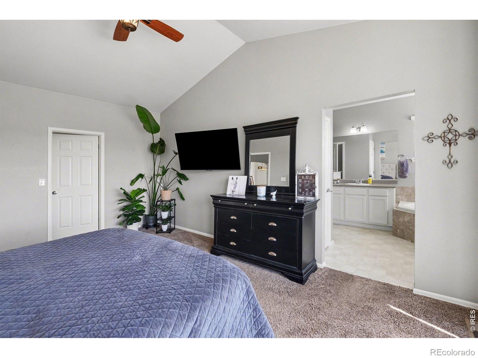 10038 Buttesfield Street Firestone CO 80504