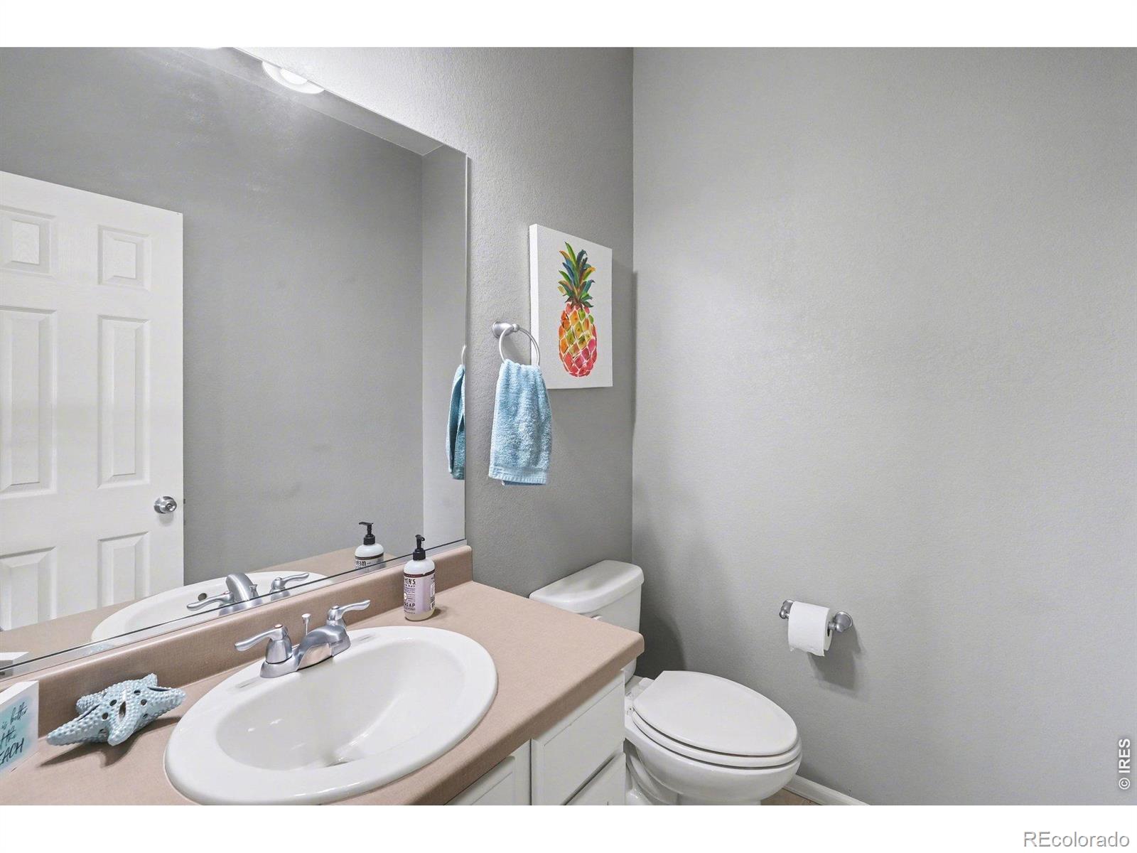 10038 Buttesfield Street Firestone CO 80504