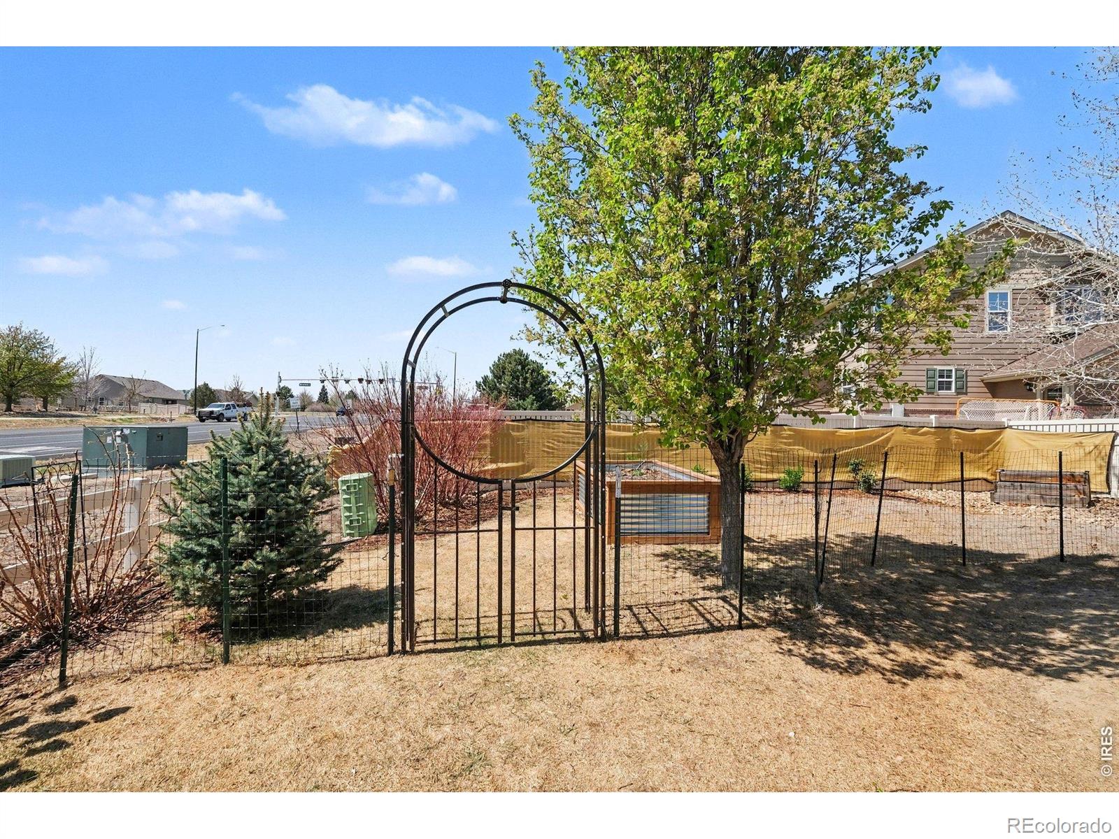 10038 Buttesfield Street Firestone CO 80504