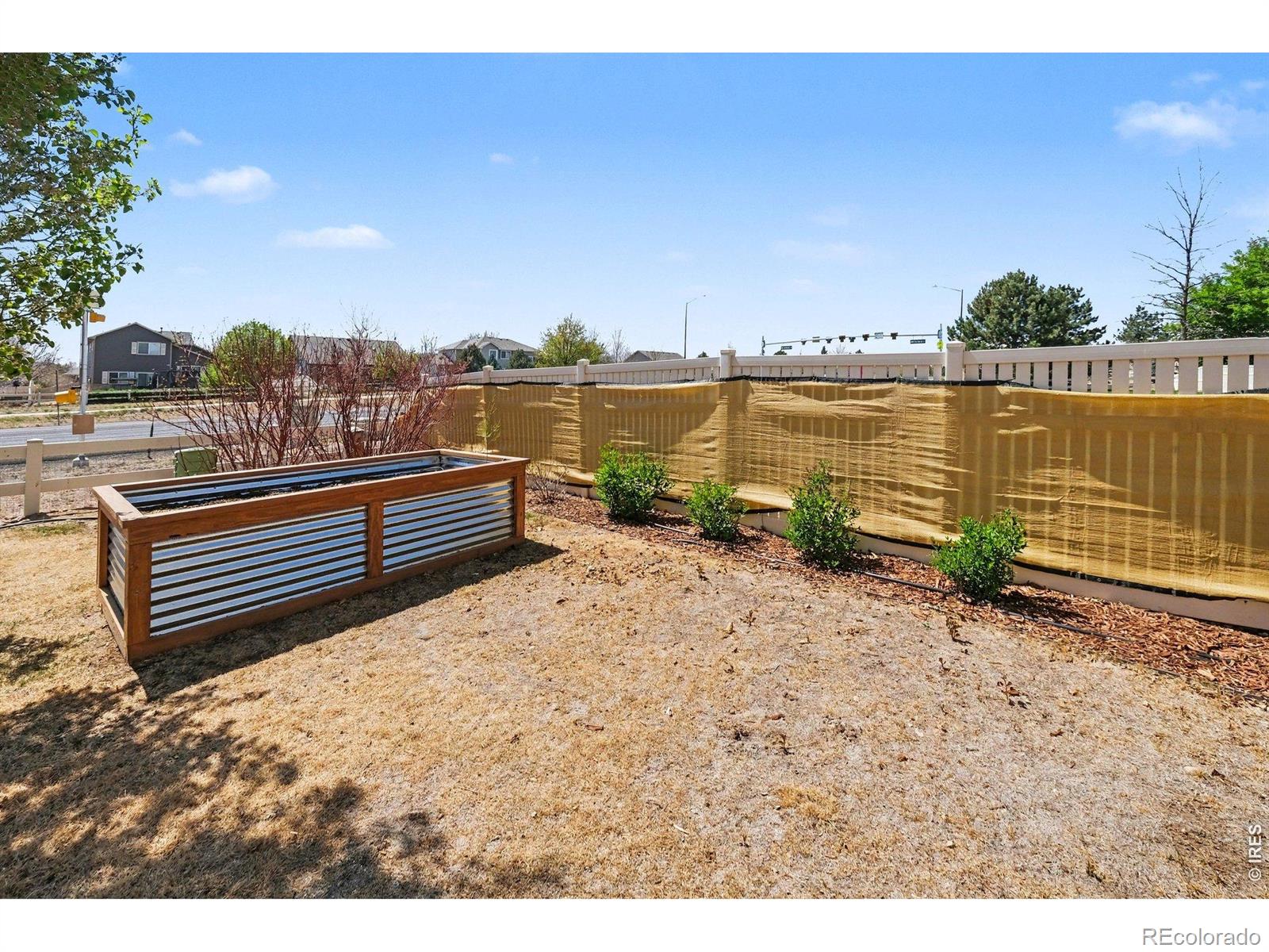 10038 Buttesfield Street Firestone CO 80504