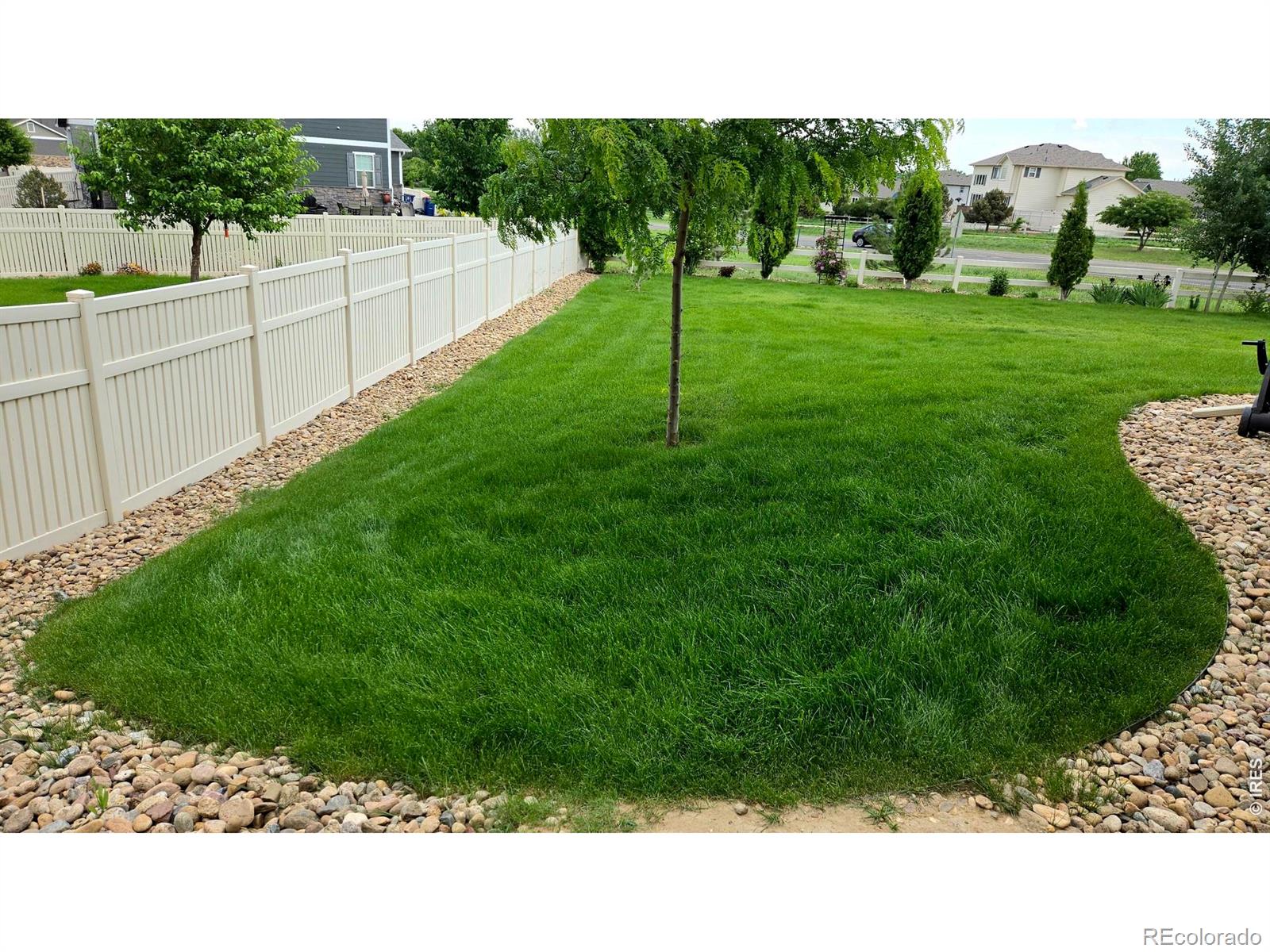 10038 Buttesfield Street Firestone CO 80504