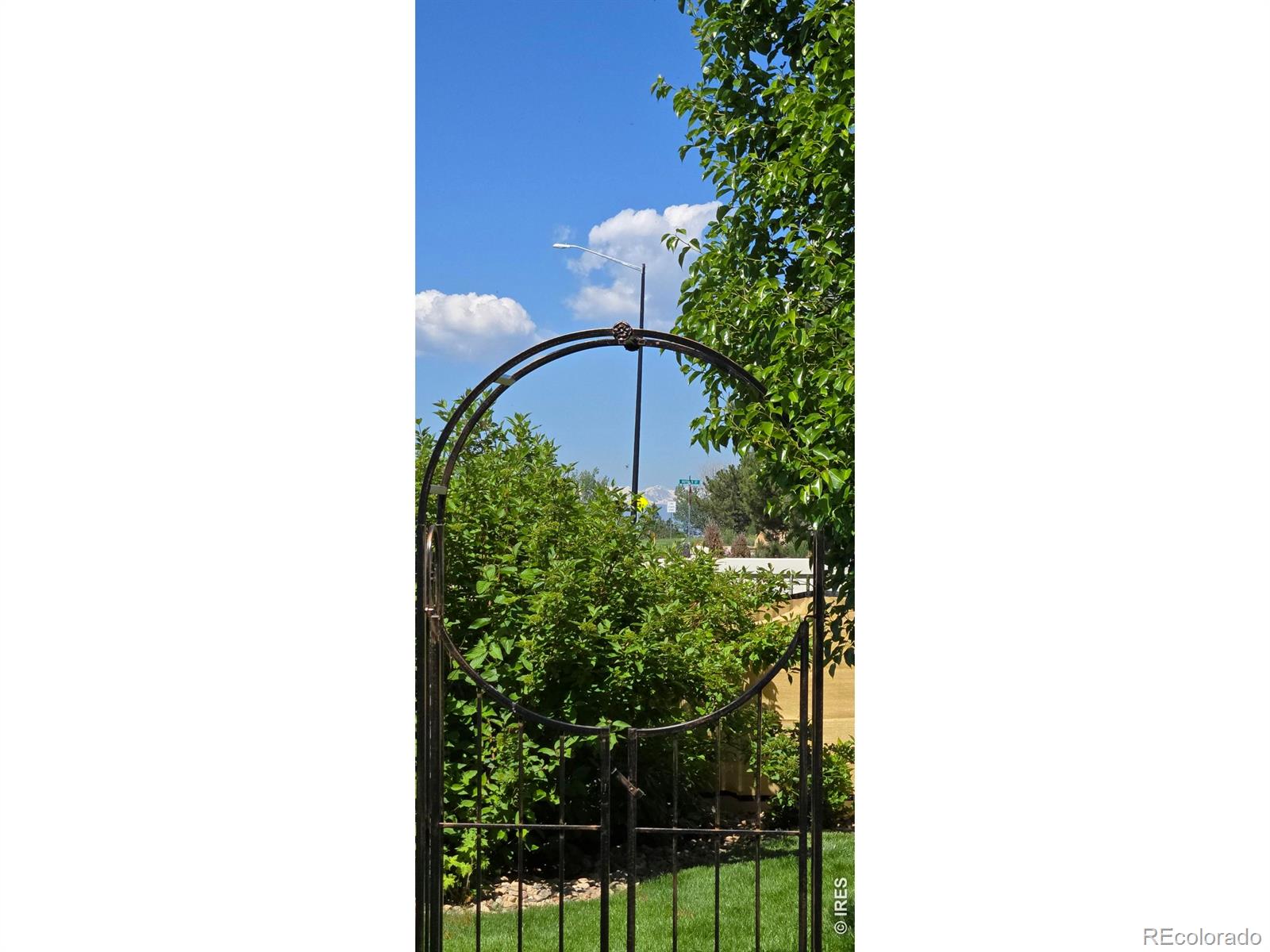 10038 Buttesfield Street Firestone CO 80504