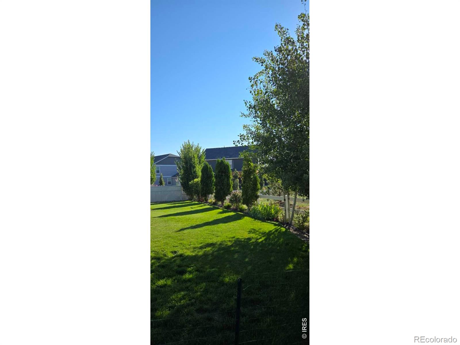 10038 Buttesfield Street Firestone CO 80504