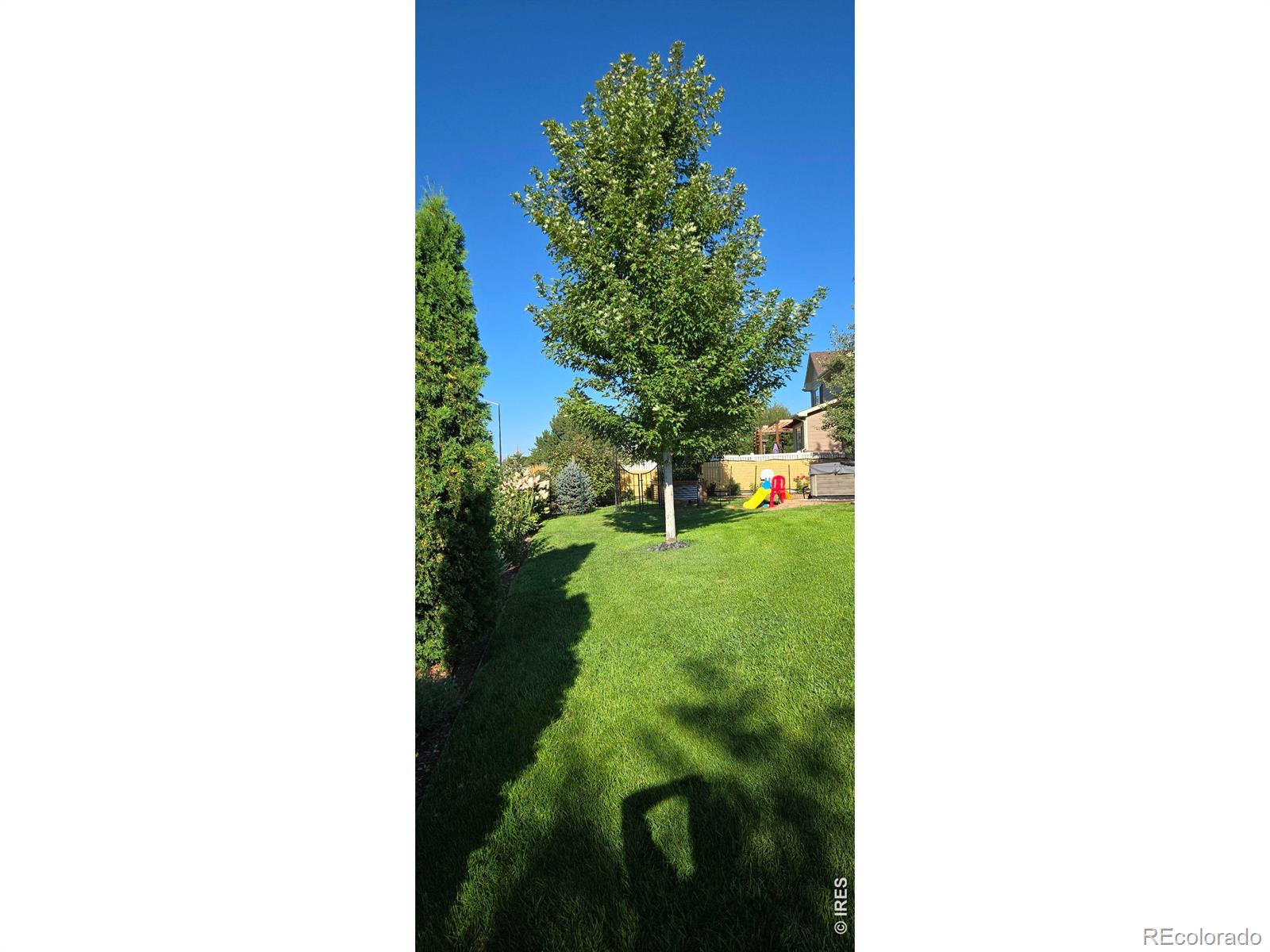 10038 Buttesfield Street Firestone CO 80504