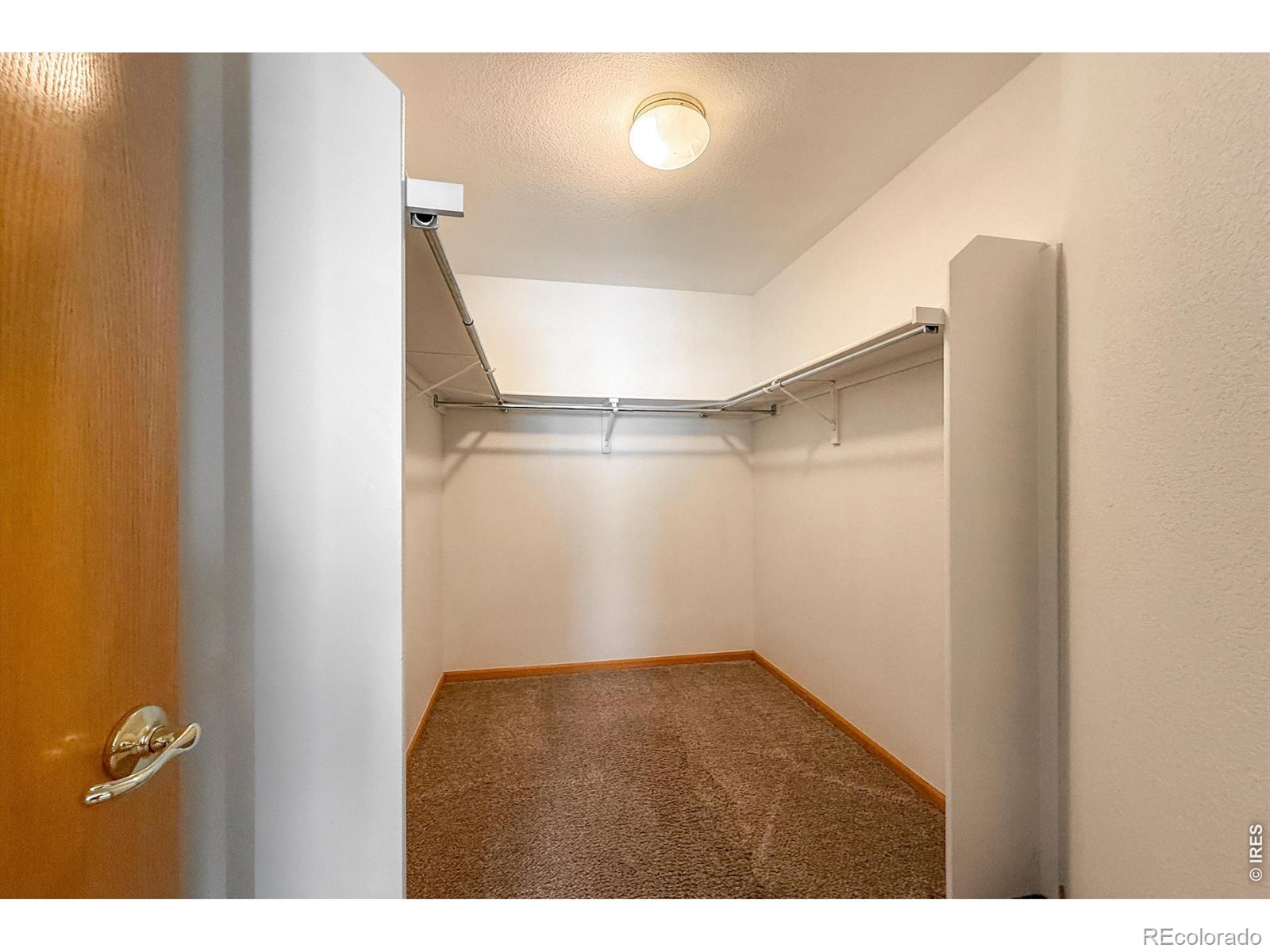 4479 Cole Drive Loveland CO 80538