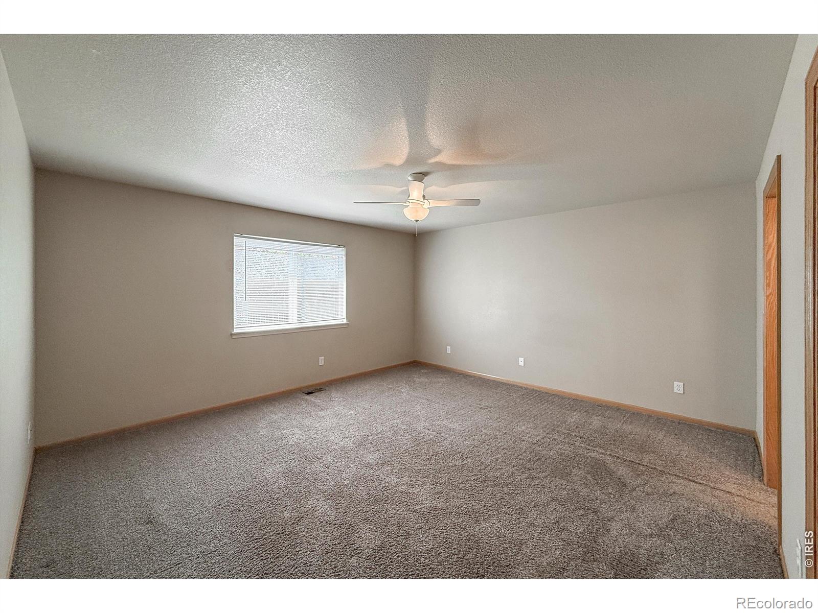 4479 Cole Drive Loveland CO 80538