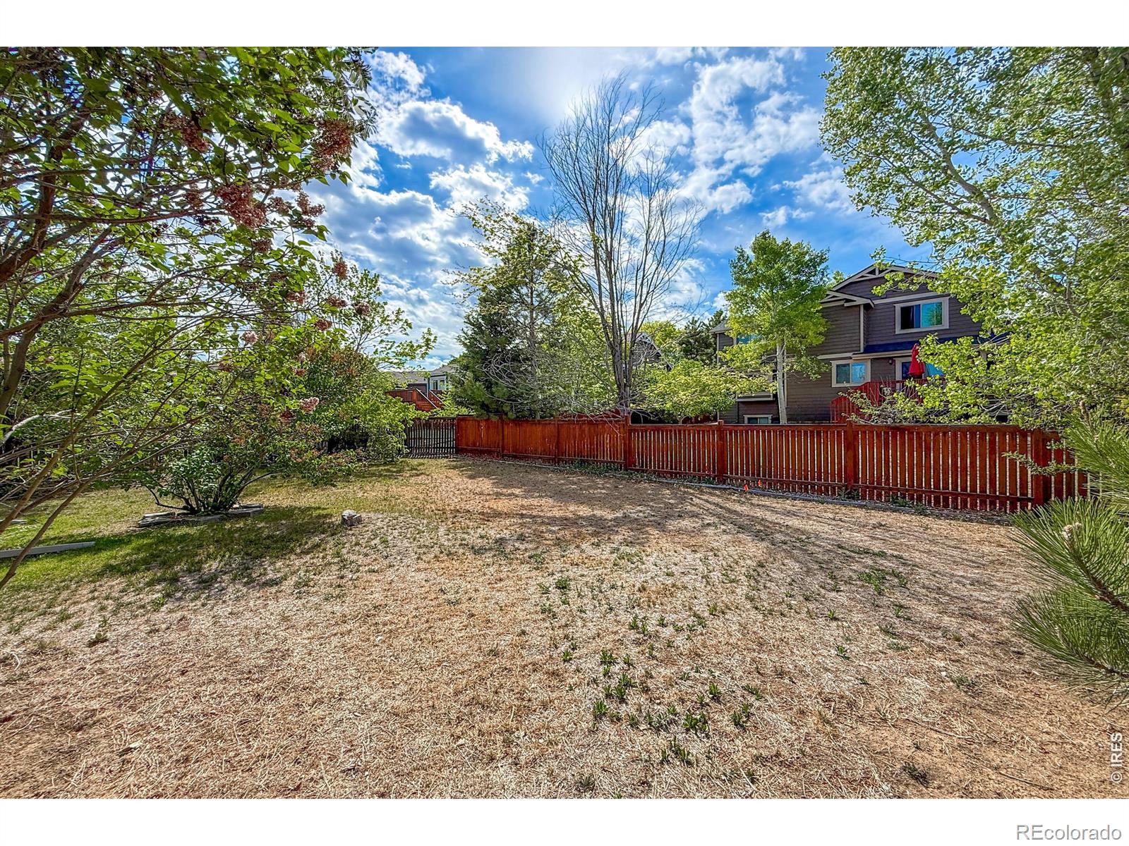 4479 Cole Drive Loveland CO 80538