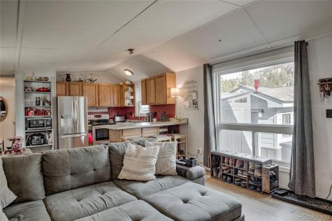 56 Magnum Bonum Drive Breckenridge CO 80424