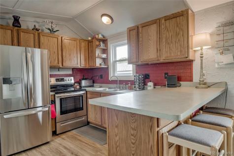 56 Magnum Bonum Drive Breckenridge CO 80424