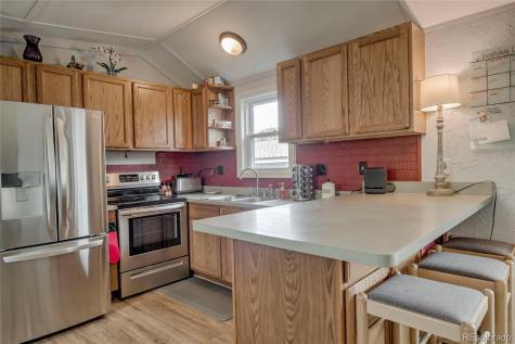 56 Magnum Bonum Drive Breckenridge CO 80424