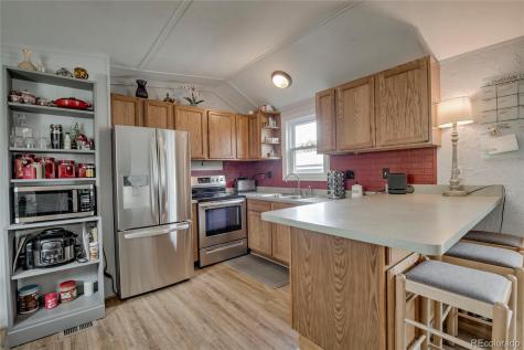 56 Magnum Bonum Drive Breckenridge CO 80424