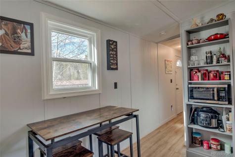 56 Magnum Bonum Drive Breckenridge CO 80424