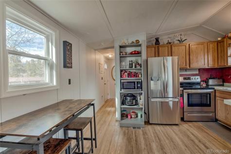 56 Magnum Bonum Drive Breckenridge CO 80424