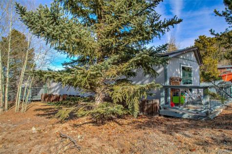 56 Magnum Bonum Drive Breckenridge CO 80424