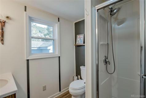 56 Magnum Bonum Drive Breckenridge CO 80424