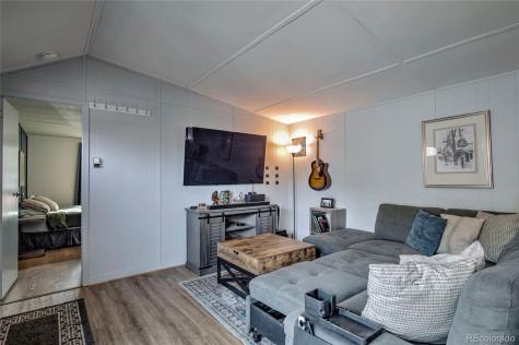 56 Magnum Bonum Drive Breckenridge CO 80424