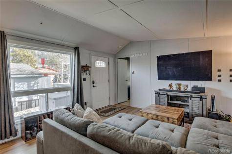 56 Magnum Bonum Drive Breckenridge CO 80424