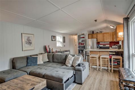 56 Magnum Bonum Drive Breckenridge CO 80424