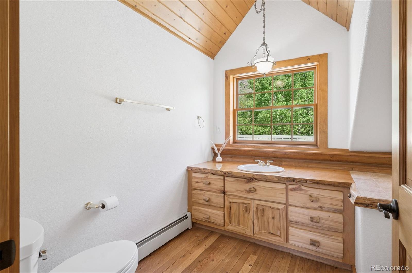 15690 Cochise Trail Pine CO 80470