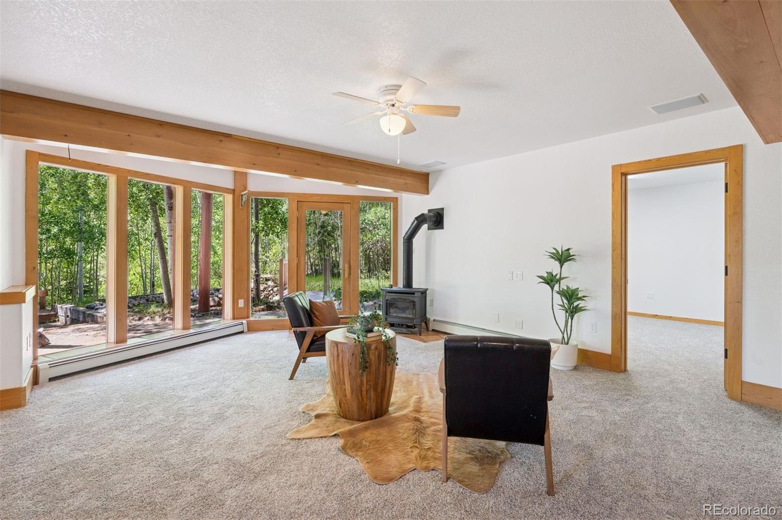 15690 Cochise Trail Pine CO 80470