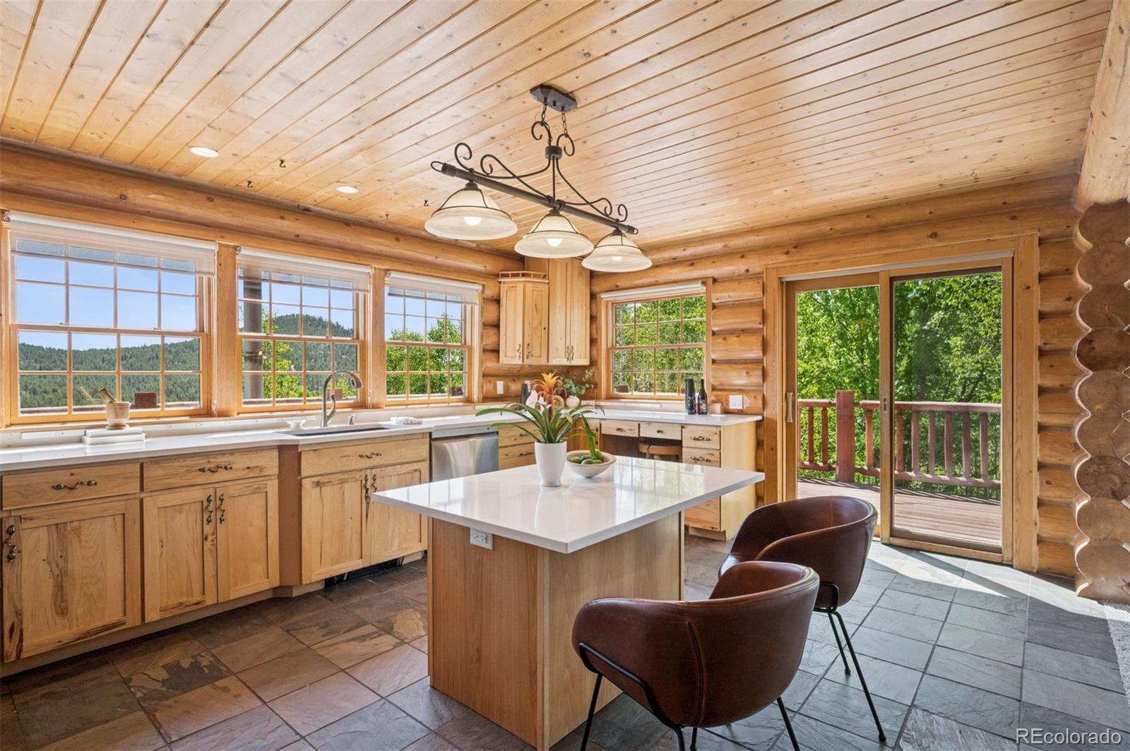 15690 Cochise Trail Pine CO 80470