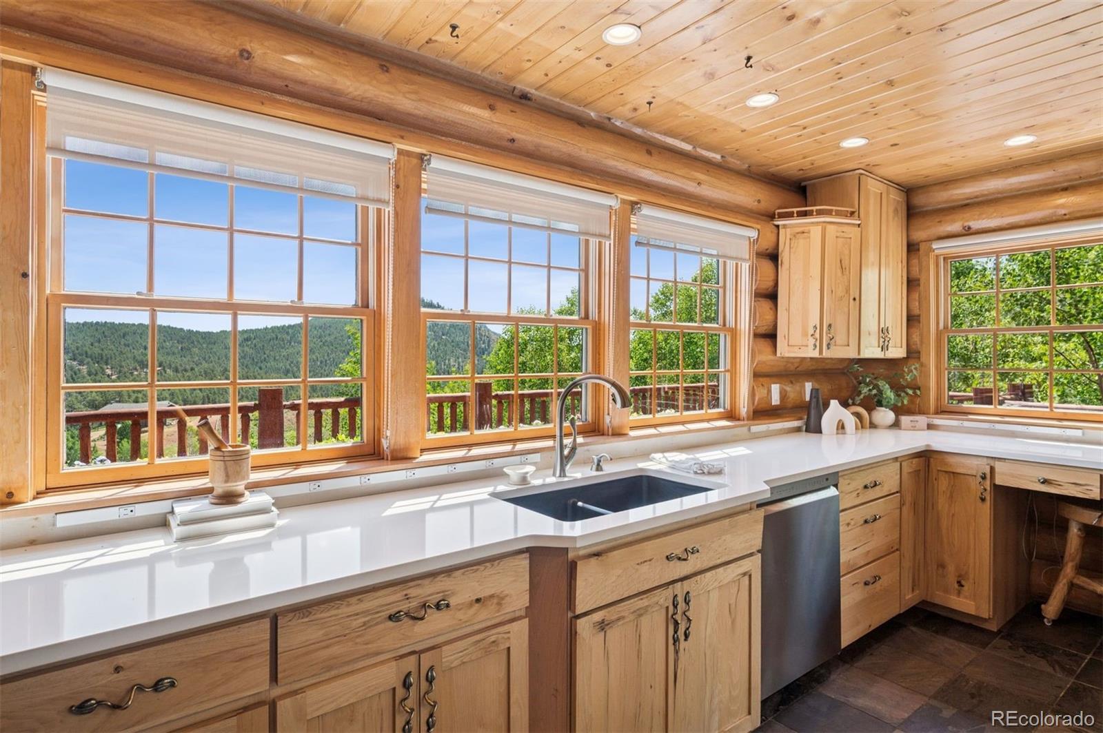 15690 Cochise Trail Pine CO 80470