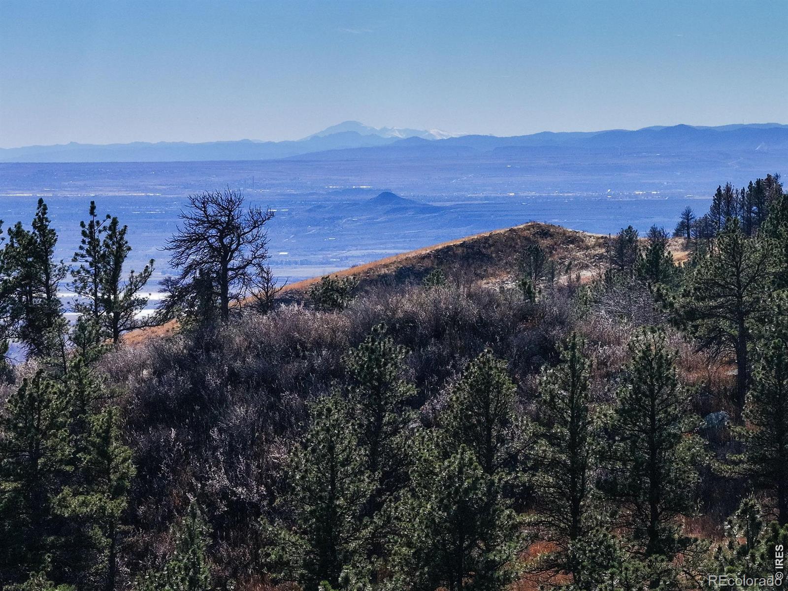 15655 Mossrock Drive Longmont CO 80503