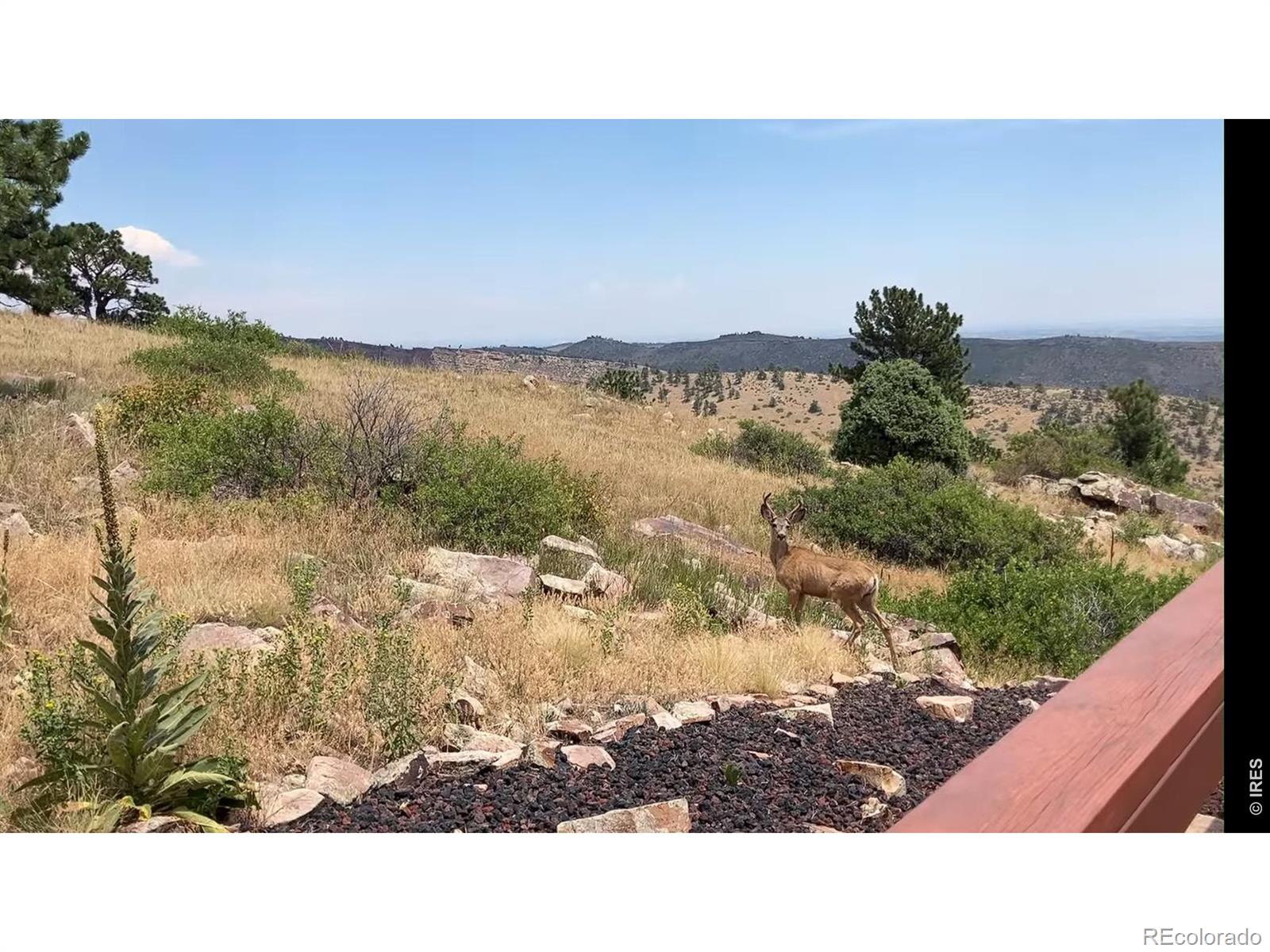 15655 Mossrock Drive Longmont CO 80503