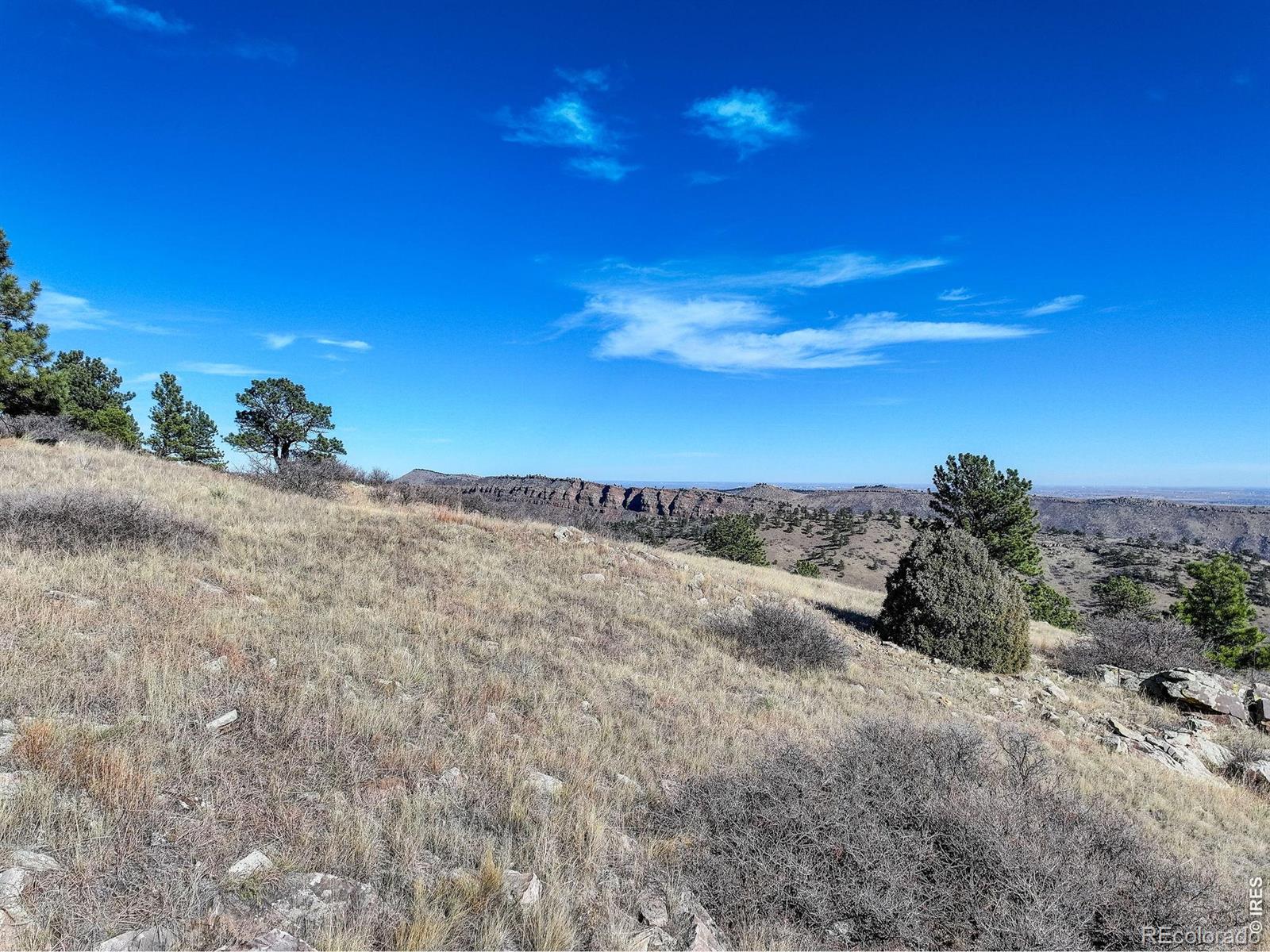 15655 Mossrock Drive Longmont CO 80503