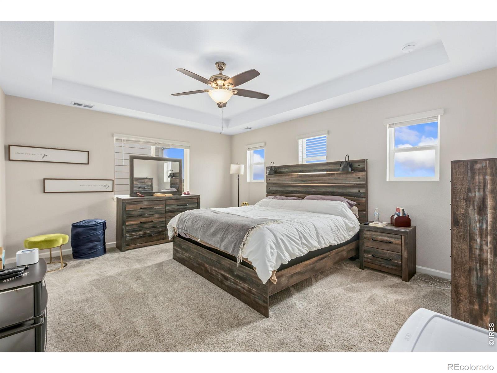 955 Rustling Street Windsor CO 80550