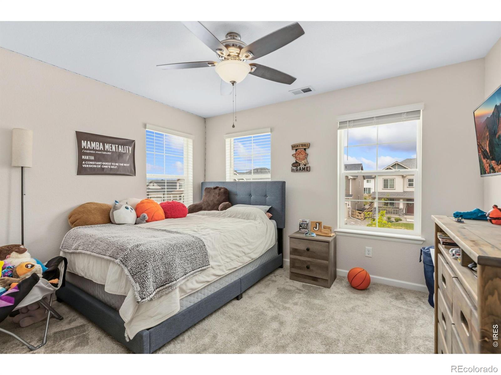 955 Rustling Street Windsor CO 80550
