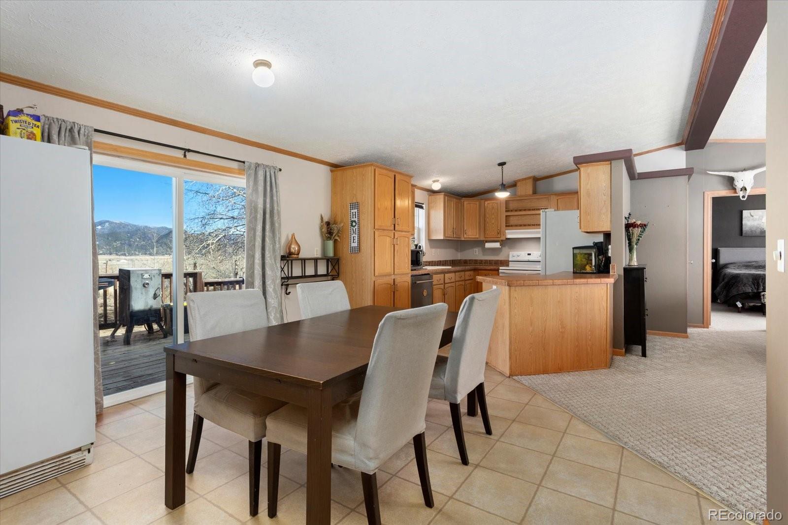 26388 Bassam Circle Buena Vista CO 81211