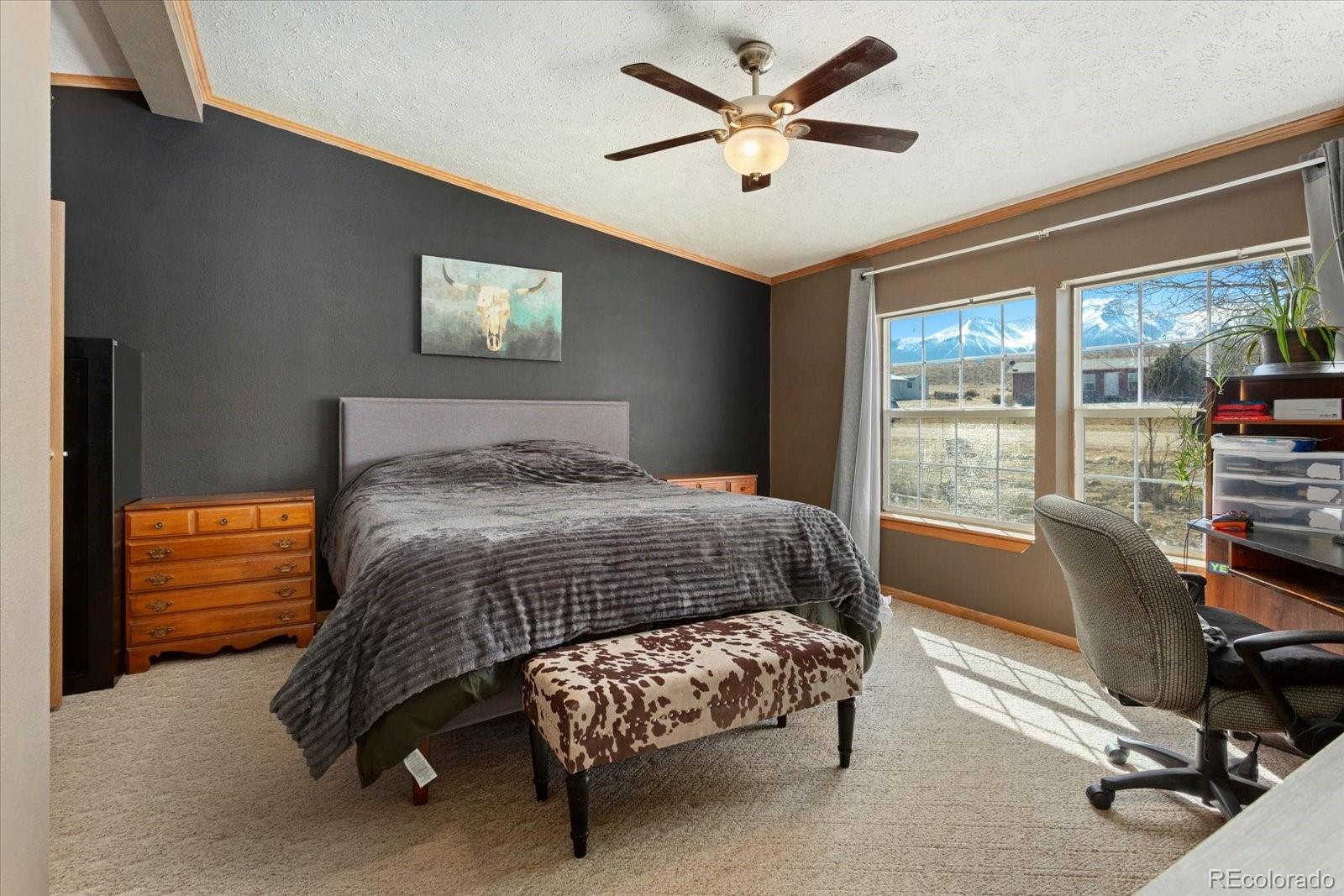26388 Bassam Circle Buena Vista CO 81211