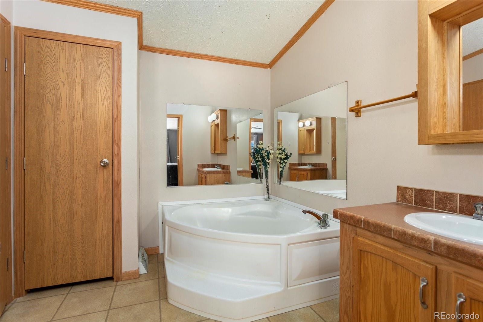 26388 Bassam Circle Buena Vista CO 81211