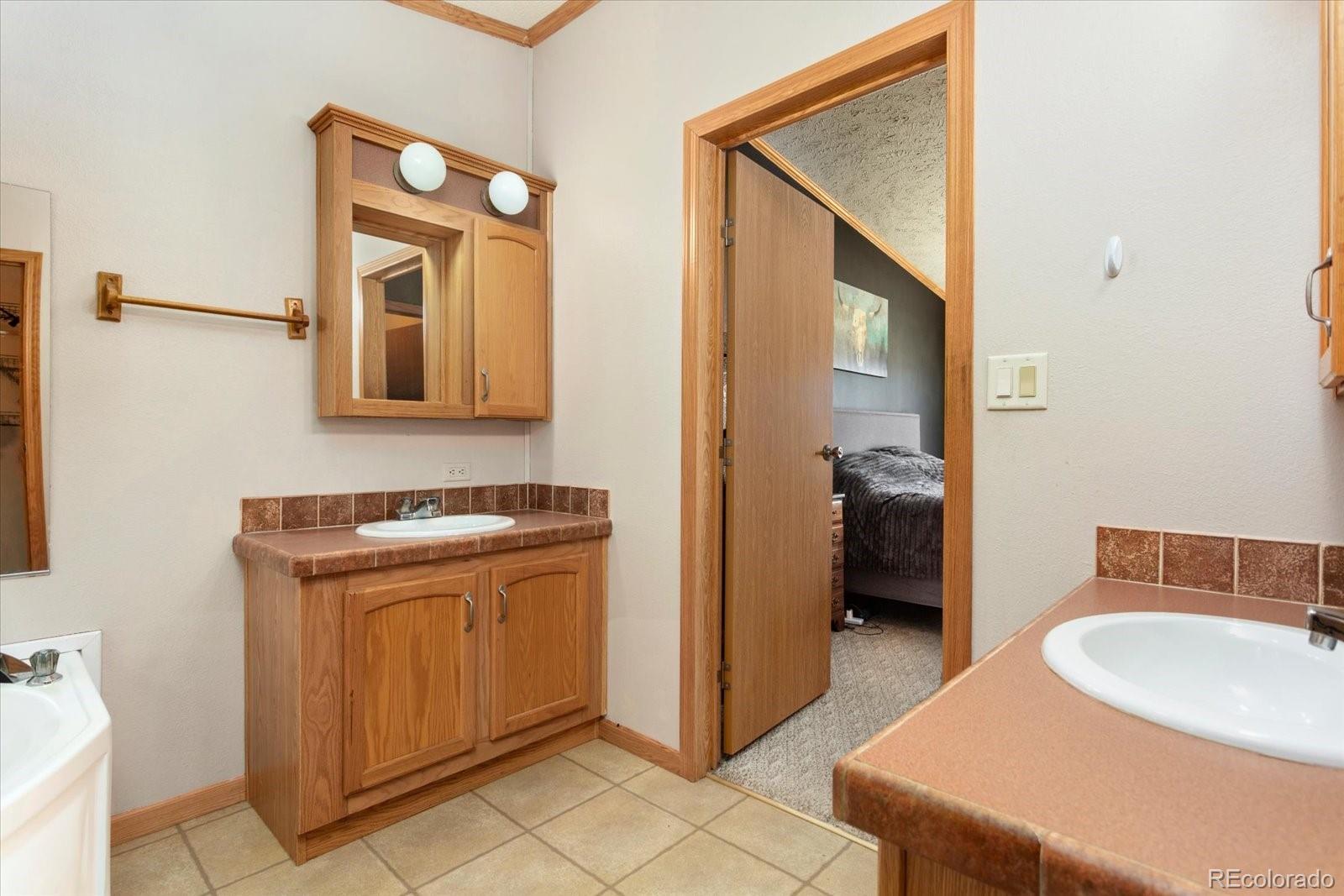 26388 Bassam Circle Buena Vista CO 81211