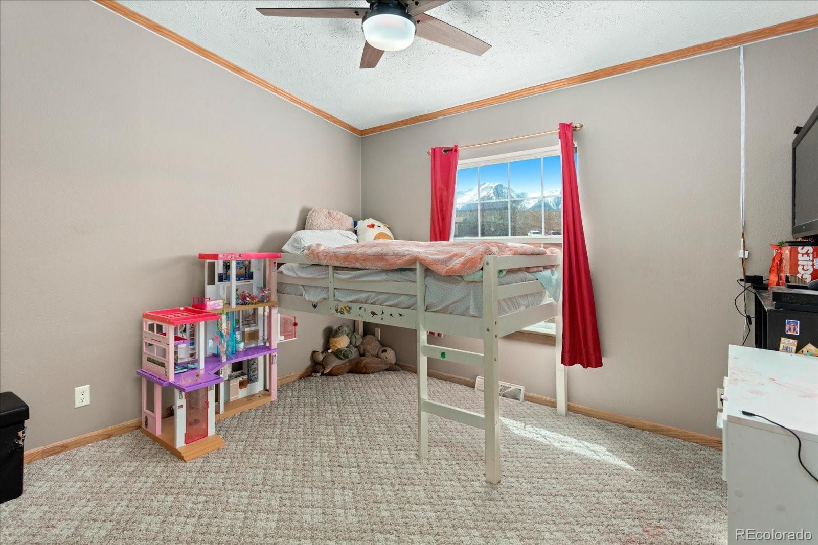 26388 Bassam Circle Buena Vista CO 81211